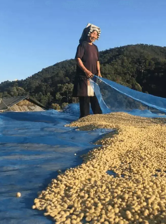 Golden Place Thachang, photo 4